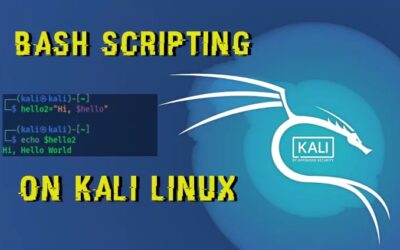 Kali Linux Bash Scripting