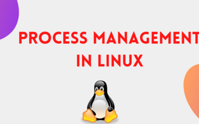 Monitoring and Managing Linux Processes