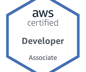 AWS Certified Developer – Associate – Flashcards